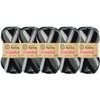 ESTAMBRE ALASKA MATIZADO 5PZAS 100G C/U MISMO COLOR (901 Cebra)