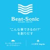 Beat-Sonic (ビートソニック) Display Audio External Input Adapter AVX04