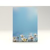 Design Paper Daisy 100 Sheets A4