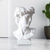 POCHY David Head Statue | Resin Bust Statue Art Craft