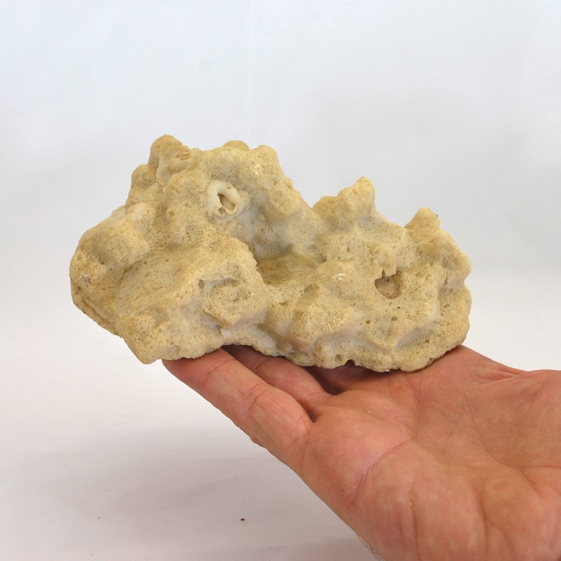 Rocks/Stone, 13.5 x 9.5 x 5.5 cm, Nano Aquarium Seawater