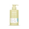 Moringa Scalp Perfect Shampoo 500ml / 모링가 스칼프 퍼펙트 샴푸