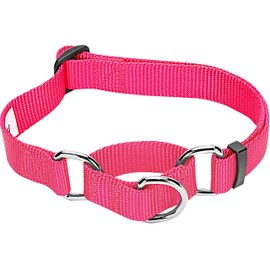 Blueberry Pet Essentials Martingale Safety Training Dog Collar, French Pink, Medium, Heavy Duty Nylon Adjustable Collars for Dogs