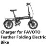 coming data power supply battery Charger for Favoto feather folding
