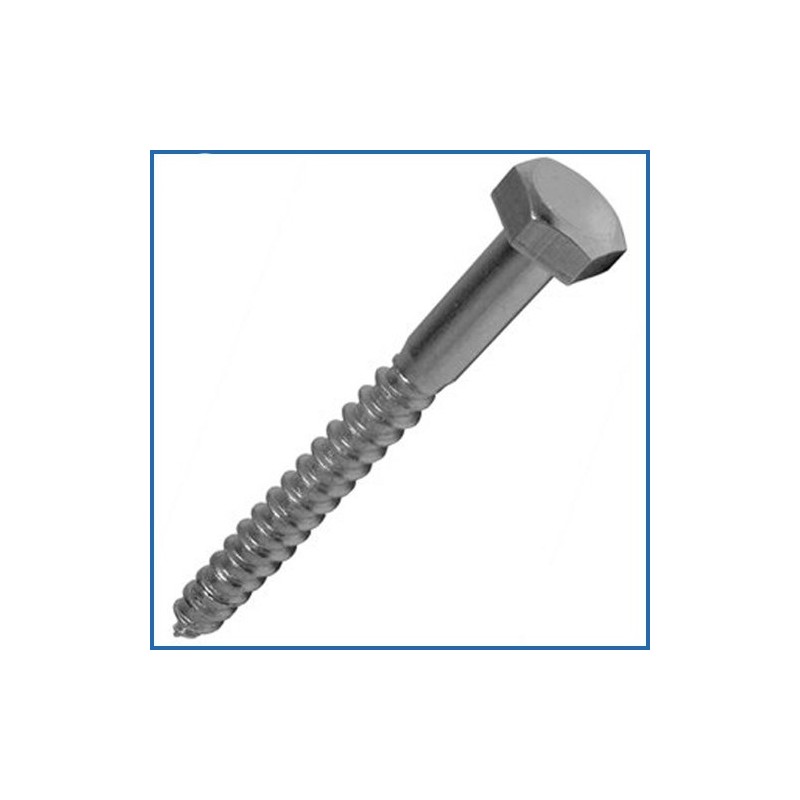 Coach Screw Hexagon Head Single Thread ZP M10 x 60mm