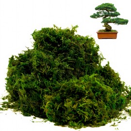 ZORBES Musgo Artificial, 3, 5 oz de Musgo Verde Falso, Decoración Musgo Artificial Premium, Manualidades de Bricolaje, Musgo Verde Falso para Centros 
