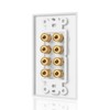 Byttlerom 8 Posts Speaker Wall Plate Home Theater Wall Plate
