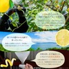 Daily Aroma Setouchi Lemon Hand Cream (2.6 oz (75 g),