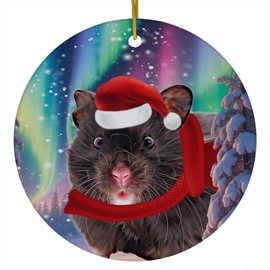 Funny Black Hamster Christmas Ornament 2025 Ceramic Circle White - Festive Winter Northern Lights Holiday Xmas Tree Hanging Decoration Gifts for Hamster Lovers