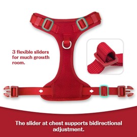 Sunraymascota No Pull Dog Harness Escape Proof, Adjustable Mesh Puppy Vest