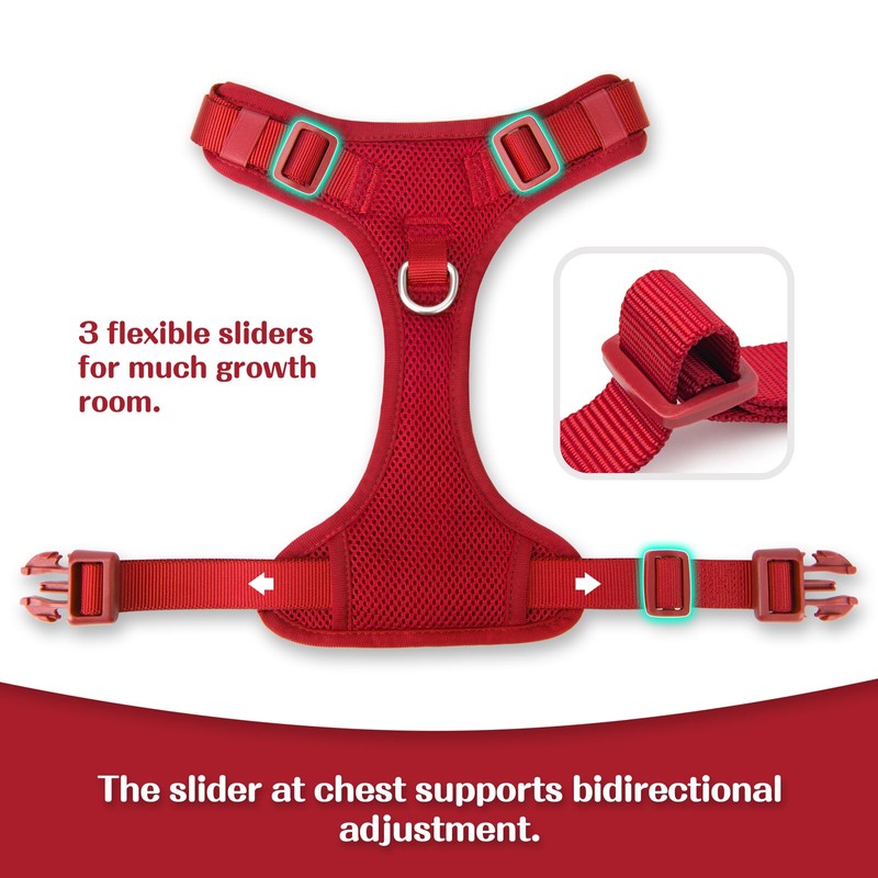 Sunraymascota No Pull Dog Harness Escape Proof, Adjustable Mesh Puppy