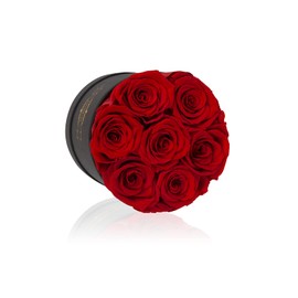 NATROSES 7 Piece Preserved Roses in a Box, Preserved Flowers for Birthday, Flower Gifts for Mothers Day (Red)
