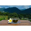 Jiaogulan Tea (Gynostemma Pentaphyllum) by Majestic Herbs | Organically Grown