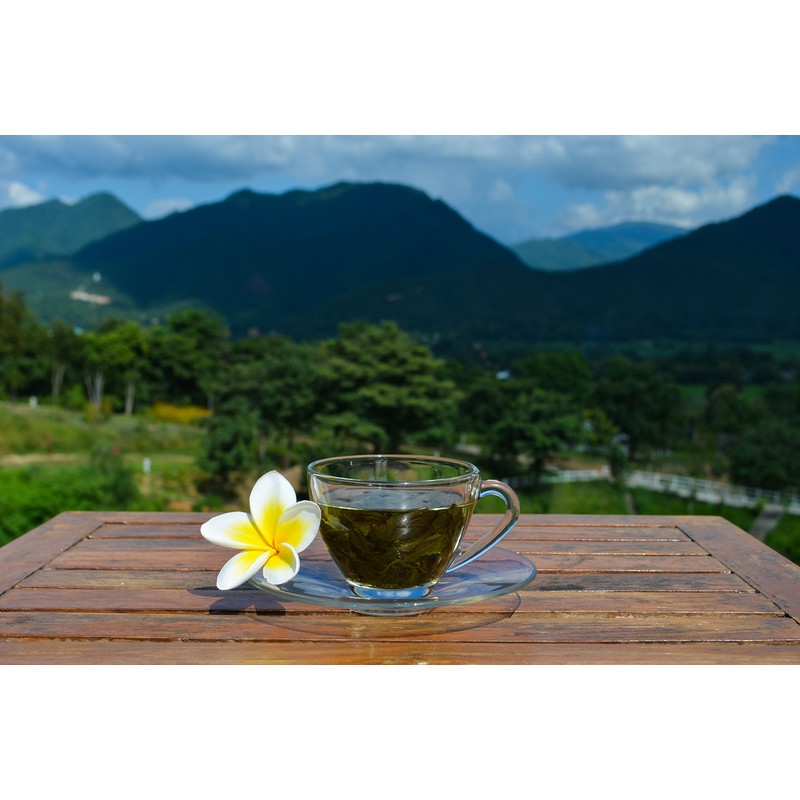 Jiaogulan Tea (Gynostemma Pentaphyllum) by Majestic Herbs | Organically Grown