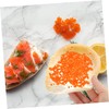 STOBAZA Shell Decorative Serving Plate Natural Shell Design for Home