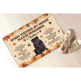 Funny Doormat Gift for Pug Owners from Family Friends I Live Here You are The Guest Autumn Leaves Lovers Floor Mat Kitchen Carpet Indoor 16x24 Inch Outdoor Entryway Doormats