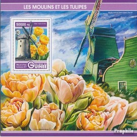 Guinea miniature sheet 2759 (complete. issue) unmounted mint/never hinged ** MNH 2017 Windmills and Tulips (Stamps for collectors) mills