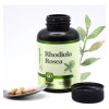 Rhodiola Rosea Premium Pura | Energía Y Ánimo | 60