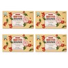 GBMS Red Plus Cheongyang Goji Fermented Concentrated Powder 30g 2