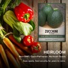 Round Zucchini Seeds for Planting Heirloom, Non-GMO Vegetable Summer Squash