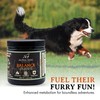 Balance Probiotic Blend for Dogs by Alpha Dog Nutrition
