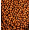 Hazelnuts in-shell, grown in our family's orchard in Washington state