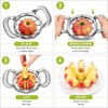 12-Slice Apple Cutter & Corer for Kitchen Prep – Stainless