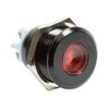 Alpinetech Black 16mm 5/8" 12V LED Metal Indicator Pilot Custom