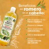 Ziloé - Shampoo Baño Botanico Extracto De Romero (anticaida) 1