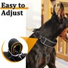 Mayerzon Martingale Dog Collar No Pull for Large Medium Dogs,