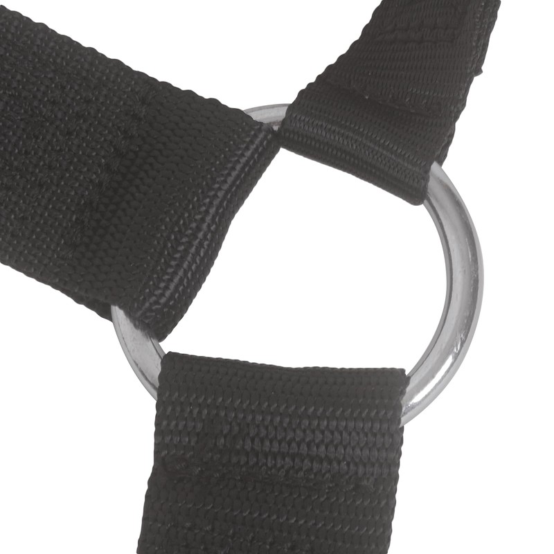 Porotmotor Motorcycle Ratcheting Tie-Down Strap, Rear Wheel Tie Down Tire