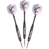 Viper Vanity Steel Tip Darts with Storage/Travel Case: Dart Diva,