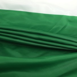 Nigeria Nigerian Pleated Fan Flag Bunting 3 x 6 Ft Nigeria Pleated 2 Pcs Fan Flag Banner Indoor/Outdoor/Front Porch Decorations, Nigeria Half Fan Flag Patriotic Holiday decorations, Celebrations.