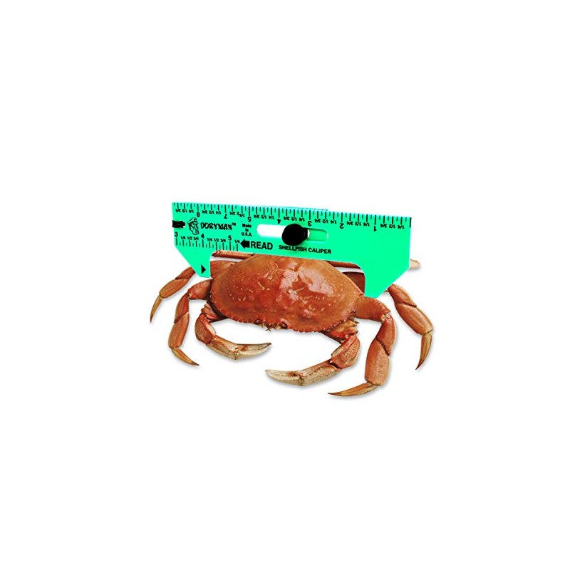 Doryman Shellfish Caliper – Floating Ruler – 3–6.5 Inch (Green)