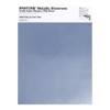Pantone Metallic Shimmer TPM, 8.5x11 Inch Sheet, 20-0140 Slipstream