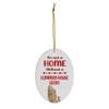 Common House Gecko Christmas Ornament 2024 - Its Not A