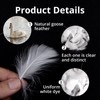 400PCS White Feathers for Crafting, Feather of Natural Goose, Fluffy