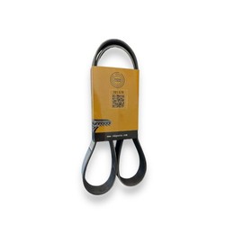 Fan Belt for Volvo D13 Engine 20870779