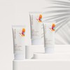 Bontree 본트리 베리에센스 선블럭 50ml 2개 / SPF50+PA++++ Bontree Berry