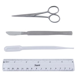 DEXSUR Dissection Kit for Biology Lab & Anatomy - Stainless Steel Scalpel Knife Set for Medical & Veterinary Students, KIT1357-4 Pcs