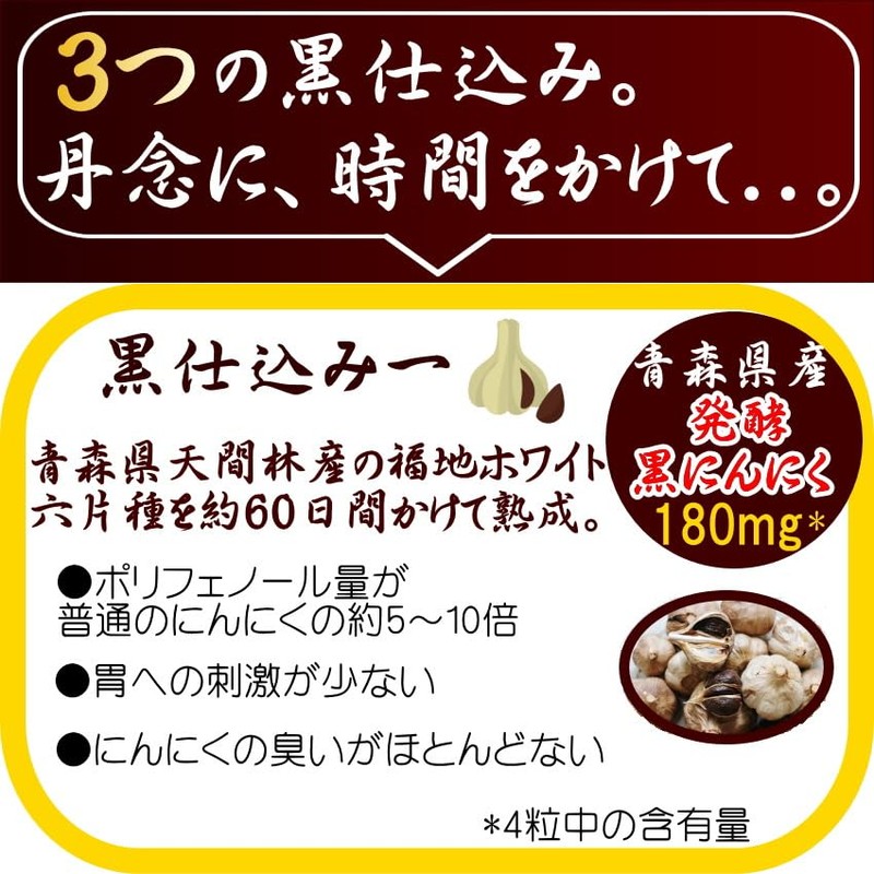黒 にんにく卵黄 黒酢 すっぽん 120粒 大地の宝 国産 無臭 熟成 黒酢にんにく