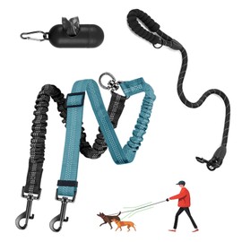 LEOSASA Double Dog Leash - 360°Swivel Tangle Free Splitter Attachment, 1 Rope with Handle, 2 Dogs Multi-Functional Leash, for Outdoor Walk Train Small Medium Large Two Pet, Lake Blue