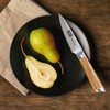 HOSHANHO Damascus Paring Knife 3.75 Inch, Professional 67 Layers Damascus