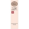  Visee Nuance Matte Rouge 840 Urban Peach 4g OR240