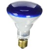 Westinghouse 0466800, 75 Watt, 130 Volt Blue Incandescent BR30 Light