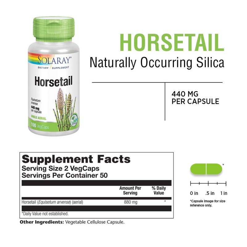 SOLARAY Horsetail 880 mg | Silica Supplement for Healthy Hair,