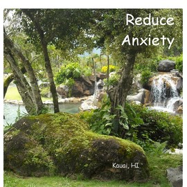 Mindstyle Hypnosis to Reduce Anxiety ~ Stay Calm, Feel Confident,  Dr Ginny Lucas CD & mp3
