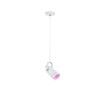 Paulmann Neordic Lavea Pendant Light Max. 1 x 15 W