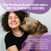 Odorcide Animal Odor Eliminator Refill ⧿ Ready to Use Pet