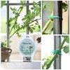 YDSL 328ft (100m) Twist Ties, Green Garden Plant Ties with